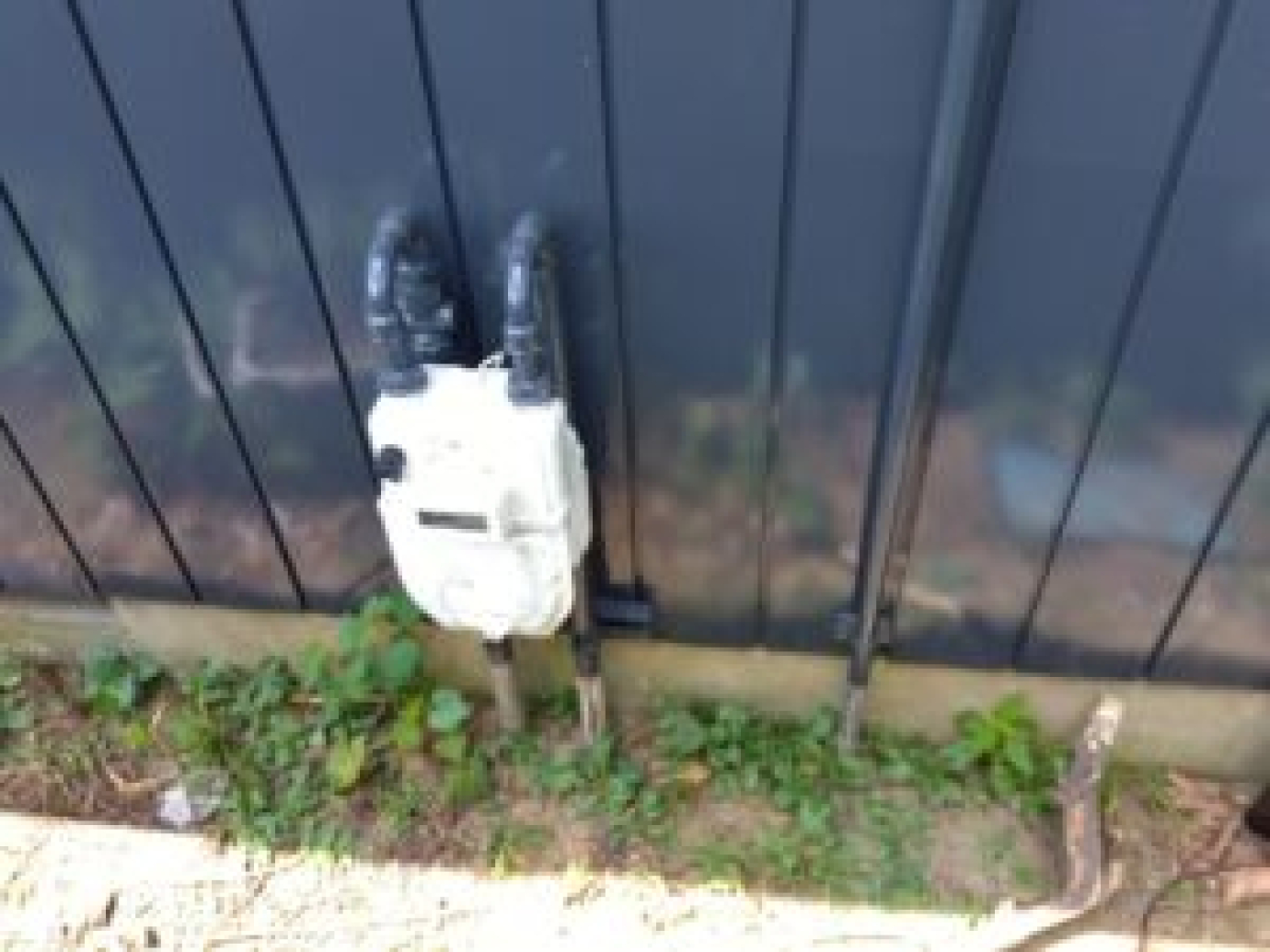 LINE_ALBUM_霜鳥様　完了確認写真_230901_34-300x225