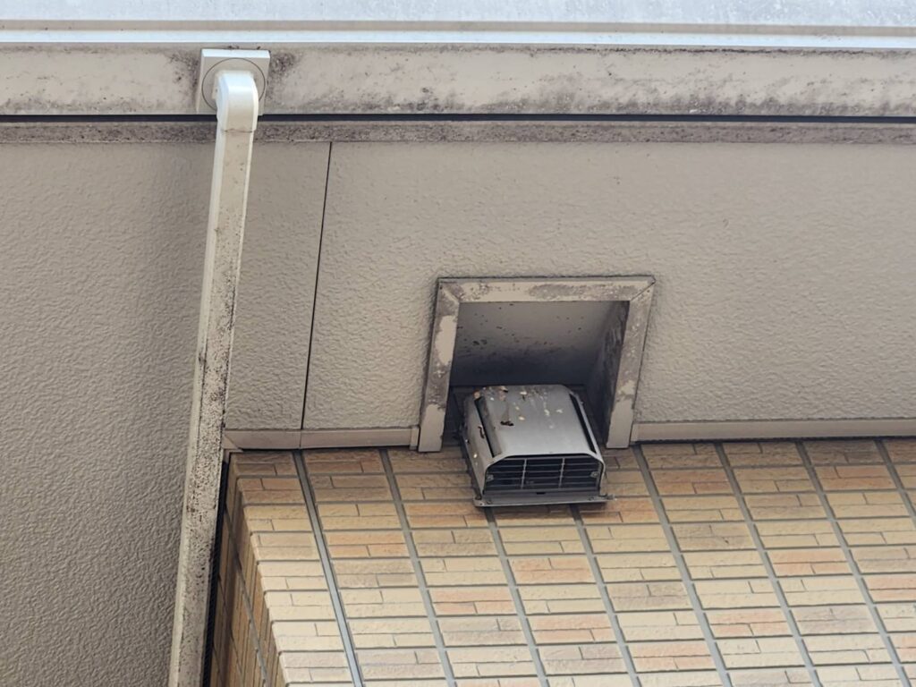 樋・軒天
