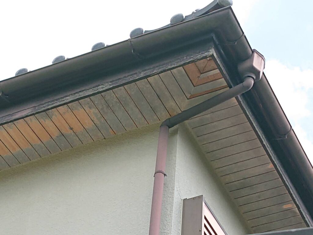 軒天
