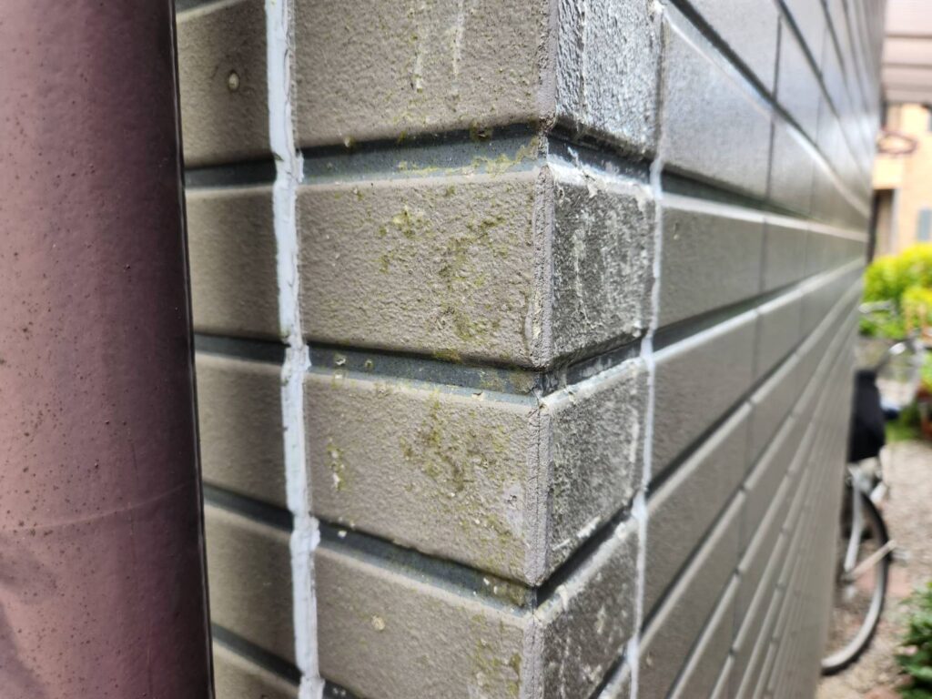 外壁