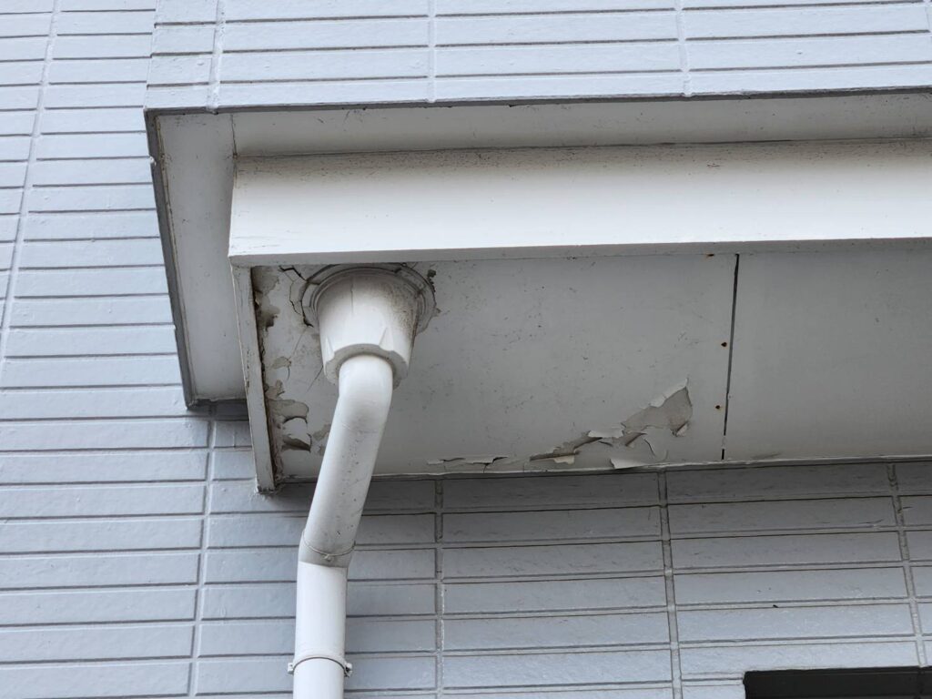 軒天