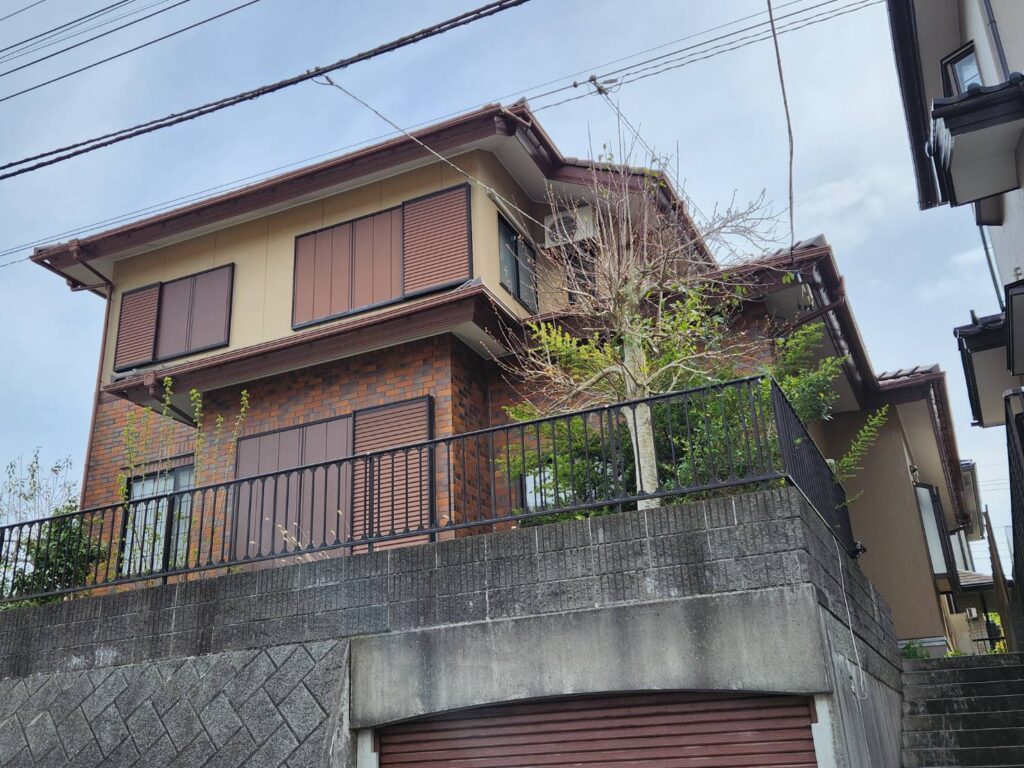 全体