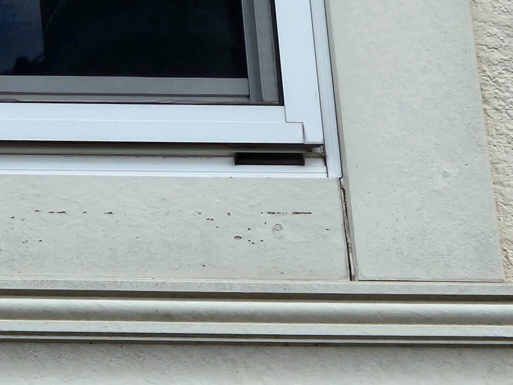 モール