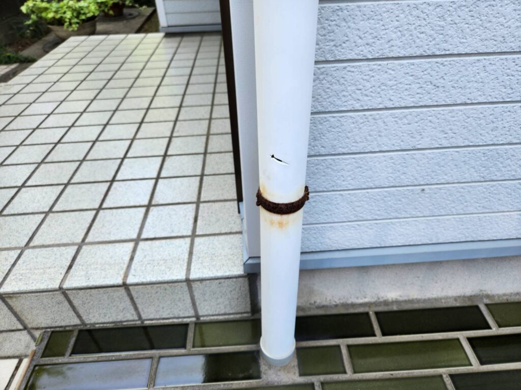縦樋デンデン(サビ)