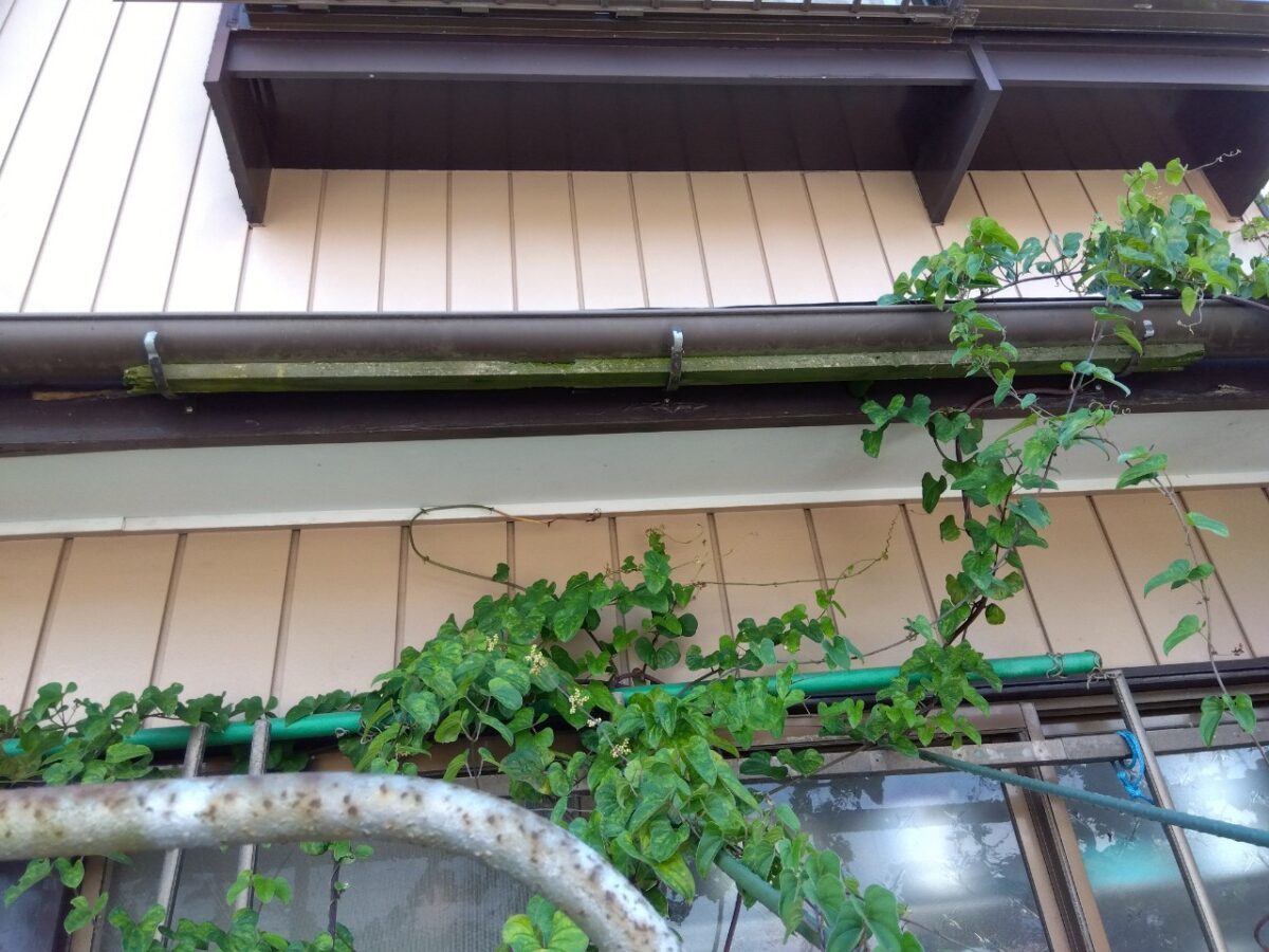 樋交換工事