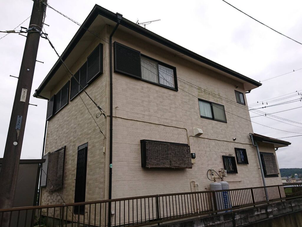 全体