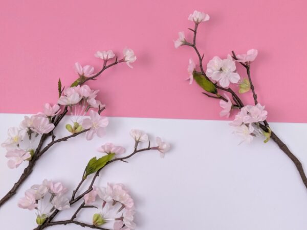 ３月は外壁チェックのベストタイミング🌸