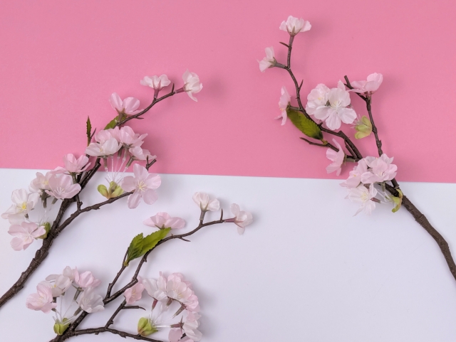 ３月は外壁チェックのベストタイミング🌸